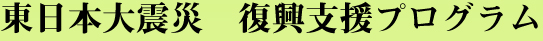 東北関東大地震災害復興プログラム